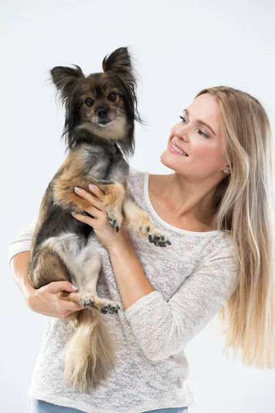 A blonde woman with long hair holds a small dog in her arms and looks at it. Multi-breed dog. — Stok fotoğraf