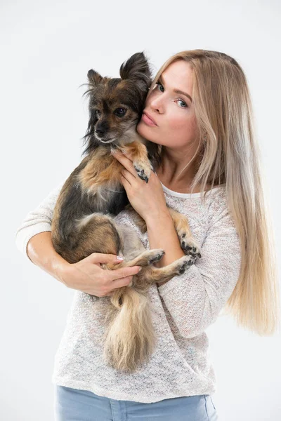 A blonde woman with long hair holds a small dog in her arms and looks at it. Multi-breed dog. — Stok fotoğraf