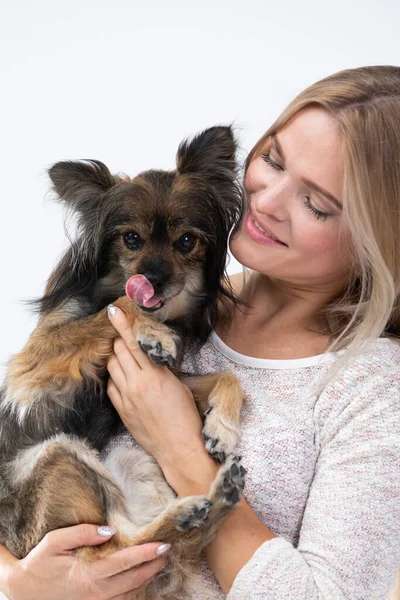 The dog is licking its nose. A girl holds a dog in her arms. Portrait of a woman with a dog. Multi-breed dog. —  Fotos de Stock