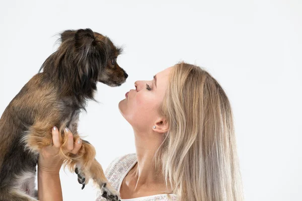Girl holds dog in her arms and wants to kiss it on its mouth. Portrait of a woman with a dog. Multi-breed dog. — Foto de Stock