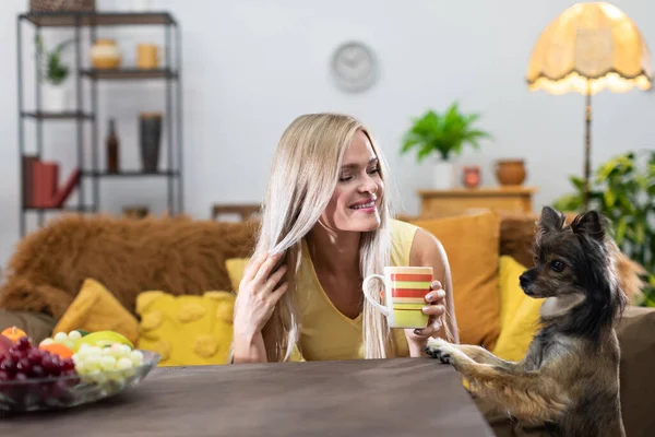 Young girl drinks tea at home in living room and dog sniffs cup. Multi-breed dog. — Foto de Stock