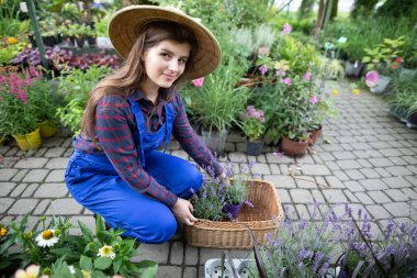 Bir işçi bir sepetin içinde çiçek saksıları düzenler. Bahçe Dükkanı.