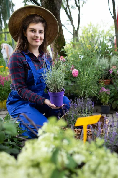 A worker holds a pot of heather flowers in her hands. Garden Shop. — Stock Photo, Image