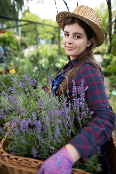 A saleswoman carries a woven basket with heather seedlings. Garden Shop. — Stock Photo, Image