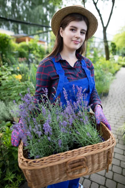 A saleswoman carries a woven basket with heather seedlings. Garden Shop. — Stock Photo, Image