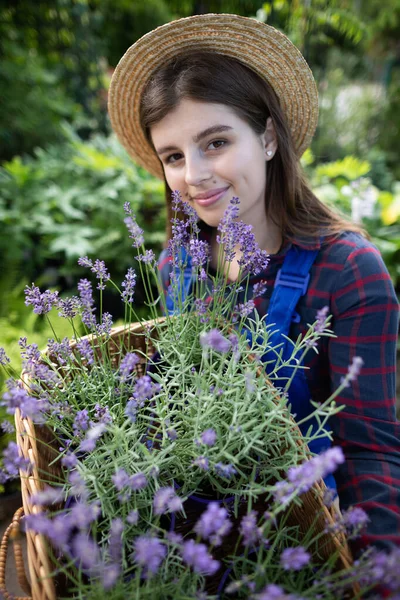 Portrait of a worker with a wicker basket full of blooming heather. Garden Shop. — Stock Photo, Image