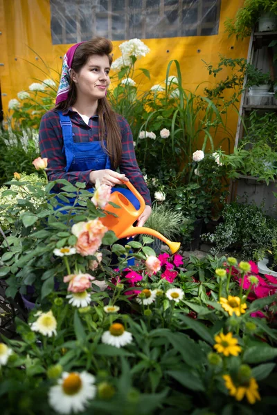 Una vendedora se arrodilla y riega plántulas de aster florecientes. Ella sonríe. —  Fotos de Stock