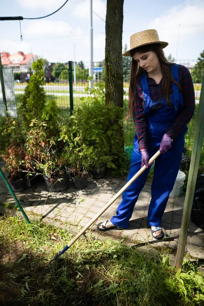 A garden store worker prepares the soil for new seedlings. — Stock Photo, Image