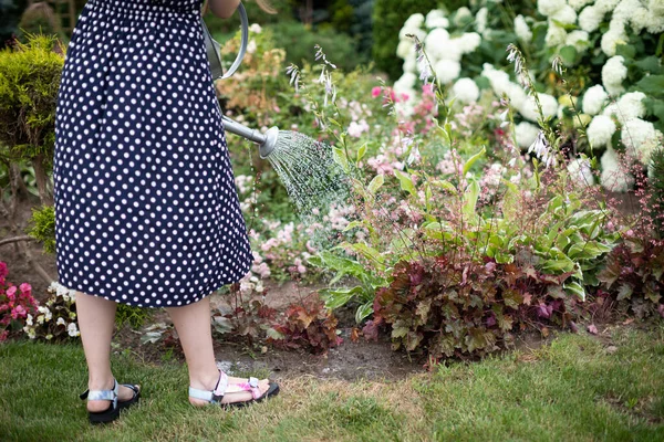 Una mujer riega flores en su jardín con una regadera de acero. —  Fotos de Stock