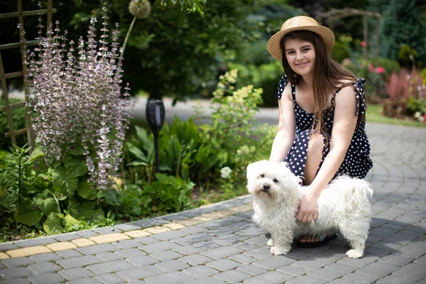 Una chica está acariciando a un perro mestizo blanco peludo. — Foto de Stock