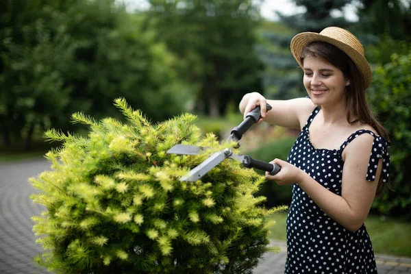Una joven jardinera recorta las ramas de un alerce. —  Fotos de Stock