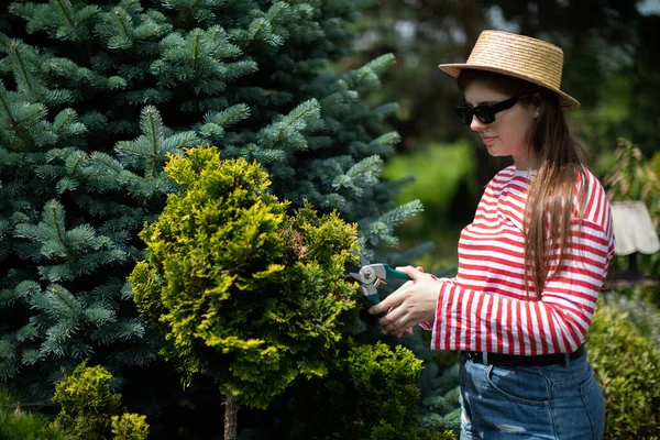 Side view of a girl as she trims a thuja tree branch. — Stock Photo, Image