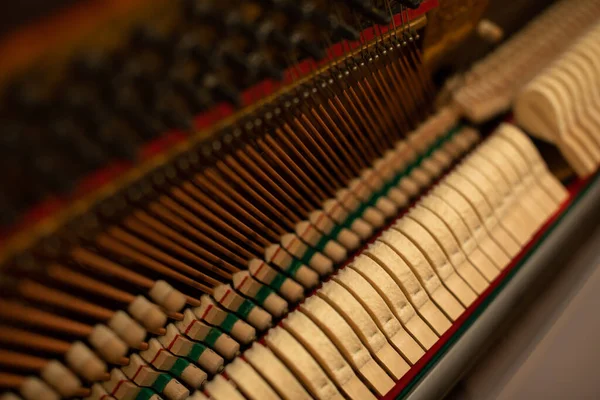 A close-up view inside all the strings of the piano. — Stock Photo, Image