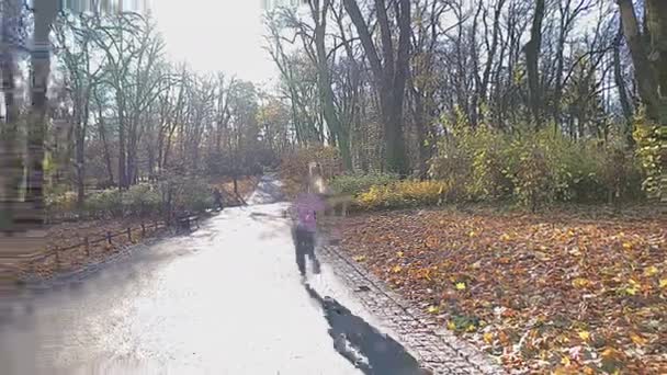 En flicka springer ner för en gränd i en park på en höstmorgon. — Stockvideo