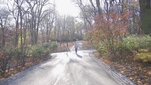 Una chica corre por un callejón en un parque en una mañana de otoño. — Vídeo de stock