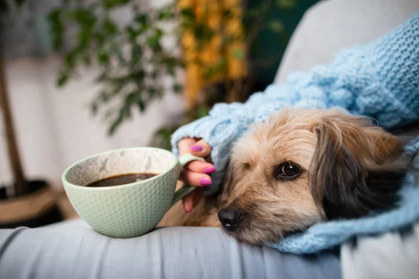 Um cão e uma menina, durante o ritual de beber café da manhã. — Fotografia de Stock
