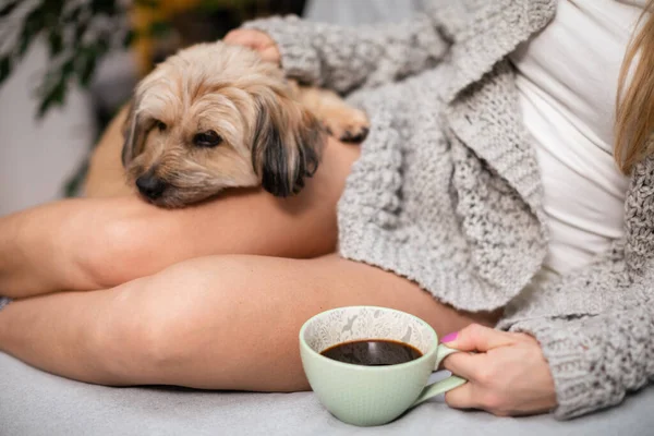 Uma mulher senta-se em uma cama com café na mão e um cão multirracial ao lado dela. — Fotografia de Stock