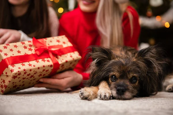 母と娘はクリスマスの間にお互いに贈り物をする. — ストック写真