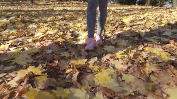 Вид жіночих ніг, що ступають на осіннє листя в міському парку . — стокове відео