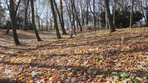 Em uma manhã de outono, uma menina está correndo em um parque da cidade. — Vídeo de Stock