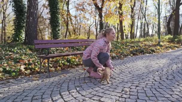 Eine Frau findet eine Katze in einem Stadtpark bei einer Bank und nimmt sie in den Arm. — Stockvideo