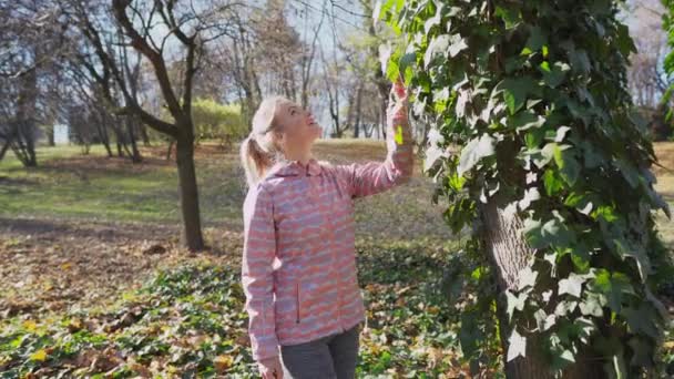 An attractive woman looks at a tree entwined by ivy. — Vídeo de stock
