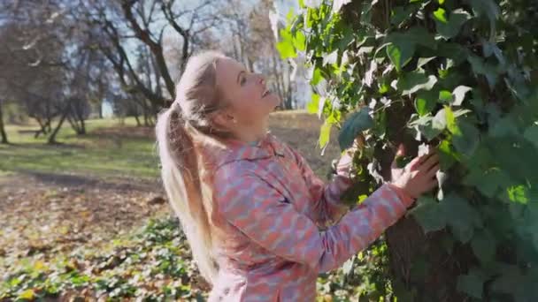 Een vrouw kijkt naar de stam van een hoge boom begroeid met klimop. — Stockvideo