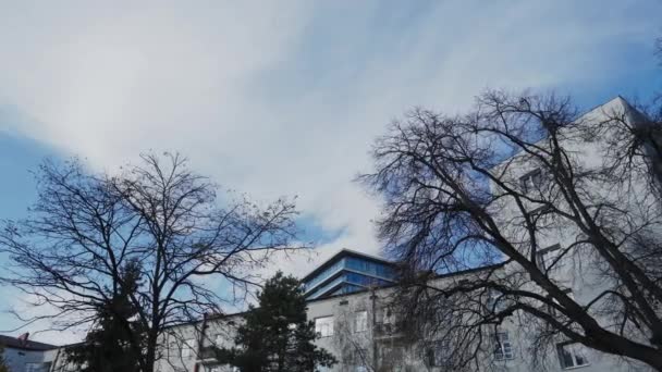 Zwaaiende kronen van hoge bomen op een zonnige herfstdag. — Stockvideo