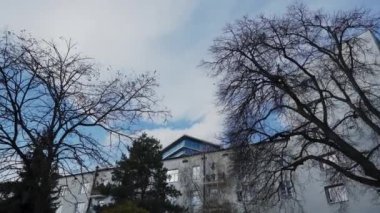 Güneşli bir sonbahar gününde ağaçların tepelerine yaklaşıyoruz..