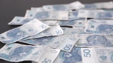 Masanın üzerinde duran kağıt banknotlar boyunca sağa doğru kamera hareketi.