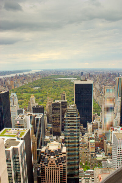 Vertical view of Central Park, Manhattan, New York