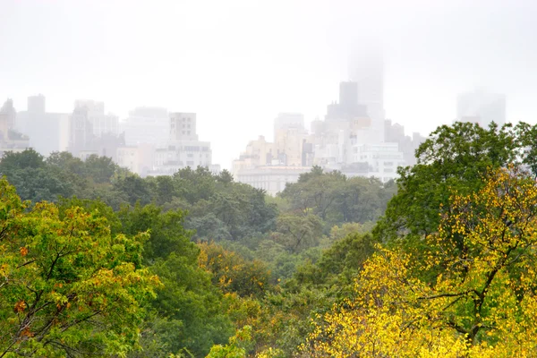 雾天在纽约中央公园 — 图库照片