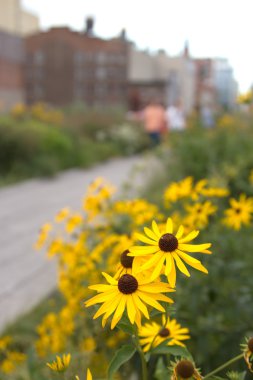 High Line Park, New York clipart