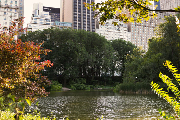 The pond located in Central Park South, Manhattan, New York
