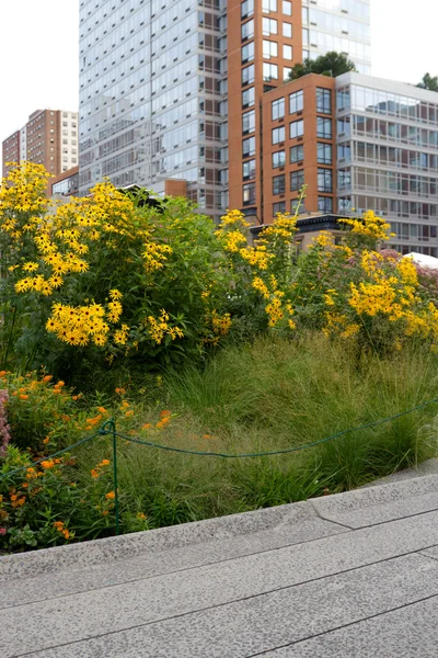 High-line park, Nowy Jork — Zdjęcie stockowe