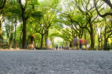Alışveriş Merkezi, central park, new york