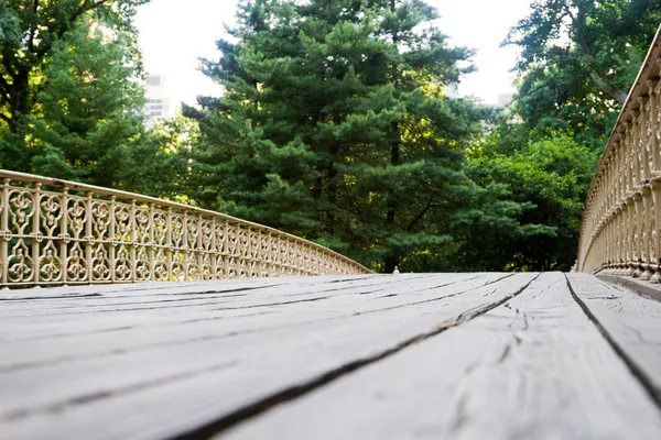 Pinebank boog, central park, new york — Stockfoto