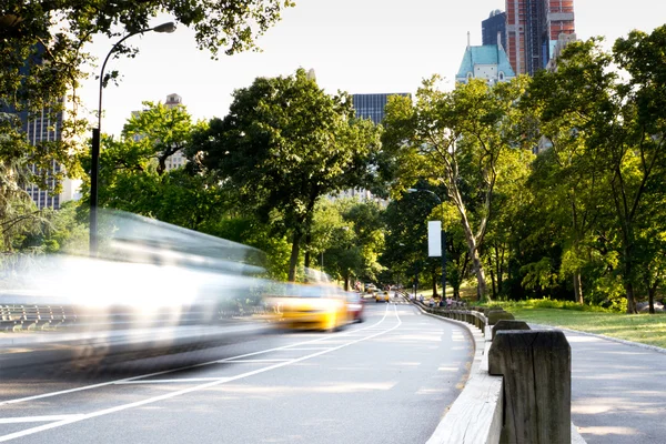 Zomerdag in central park, new york — Stockfoto