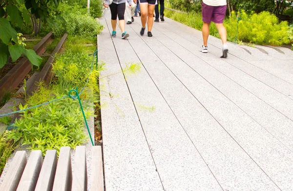 Υψηλή γραμμή park, Νέα Υόρκη — Φωτογραφία Αρχείου