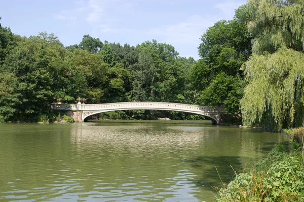 Ponte Bow, Central Park, Nova Iorque — Fotografia de Stock