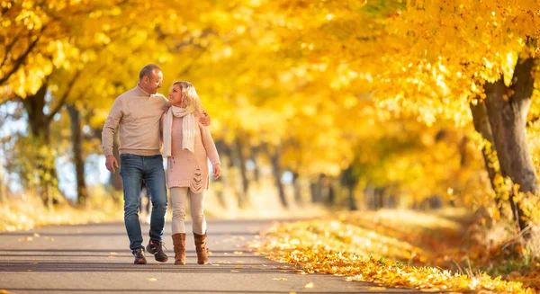 一对成年情侣在秋天的金黄色小巷散步时坠入爱河 — 图库照片