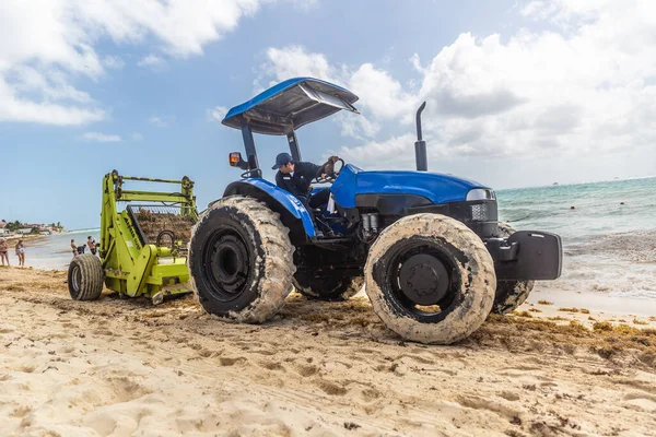 Cancun Meksika Mart 2022 Traktör Plajları Temiz Tutmak Amacıyla Sahildeki — Stok fotoğraf