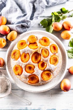 Bahçe masasının üzerine şeker tozu serpiştirilmiş lezzetli kayısılı kek..