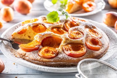 Beyaz tabakta kayısılı turta, kayısı, nane ve pudra şekeri mutfak masasında..