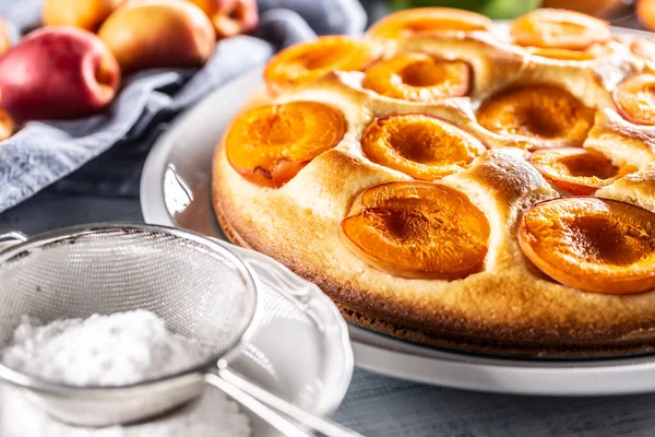 Sponge Apricot Cake Kitchen Table Sugar Powder — Stock Photo, Image