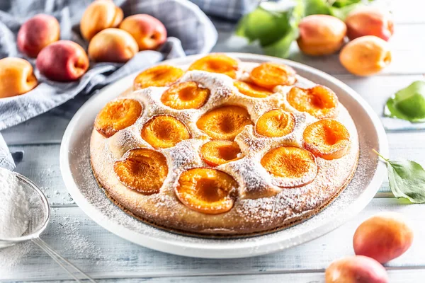 Delicious Apricot Cake Sprinkled Sugar Powder Garden Table — Stock Photo, Image