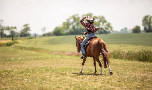 Kobieta Dżinsach Trzyma Swój Kowbojski Kapelusz Galopem Łące Swoim Koniu — Zdjęcie stockowe
