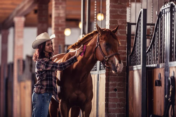 Good Looking Girl Combs Paint Horse Well Maintained Stable — Stock Photo, Image