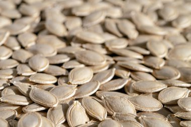 Parlak ışıkla aydınlatılmış kabak çekirdeği dokusu. Doğal arka plan. Seçici odak.