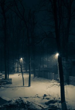 Parlayan fenerleri olan küçük bir kasabanın karla kaplı caddesi. Eski tarz bir gece fotoğrafı..